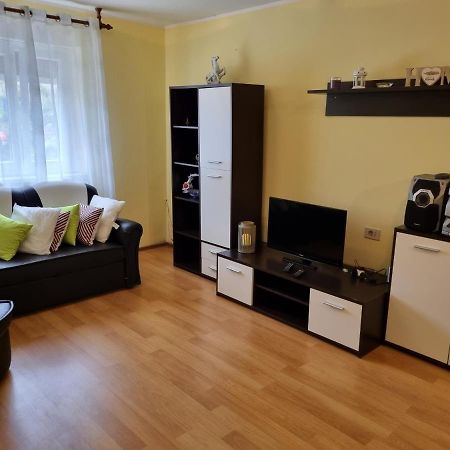 Apartment Sanja Pazin Buitenkant foto