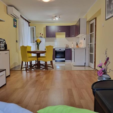 Apartment Sanja Pazin Buitenkant foto