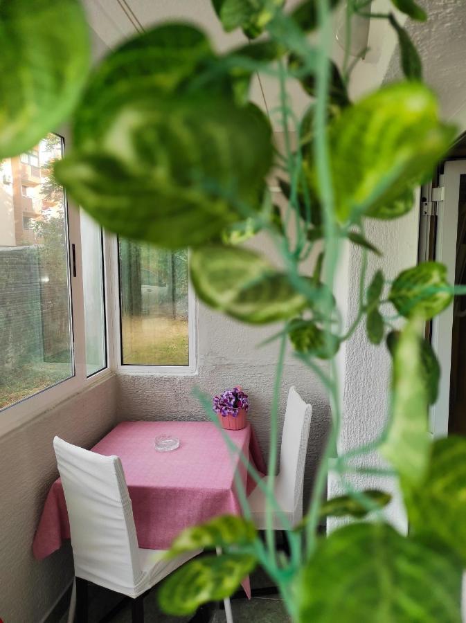 Apartment Sanja Pazin Buitenkant foto