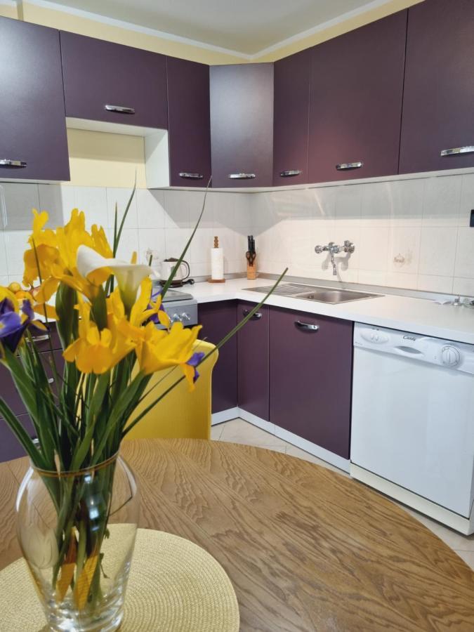 Apartment Sanja Pazin Buitenkant foto